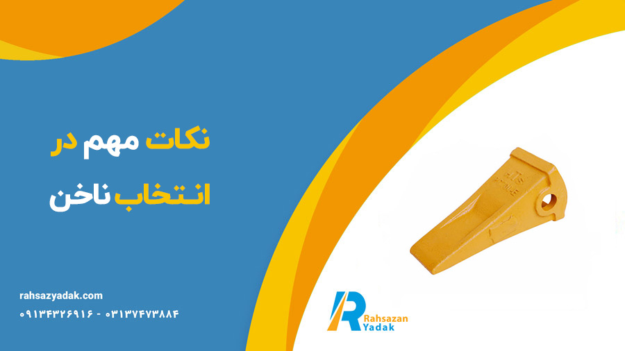 نکات مهم در انتخاب ناخن